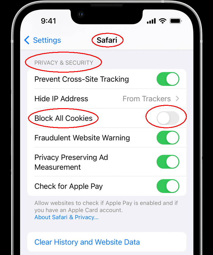 how to enable cookies on safari