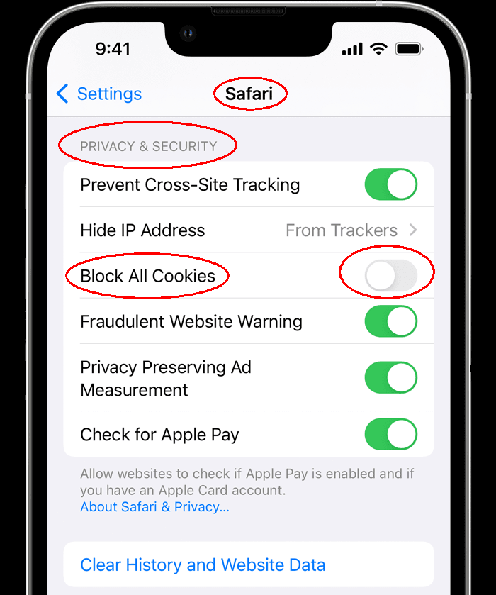 How To Enable Cookies On IPhone TECH FY